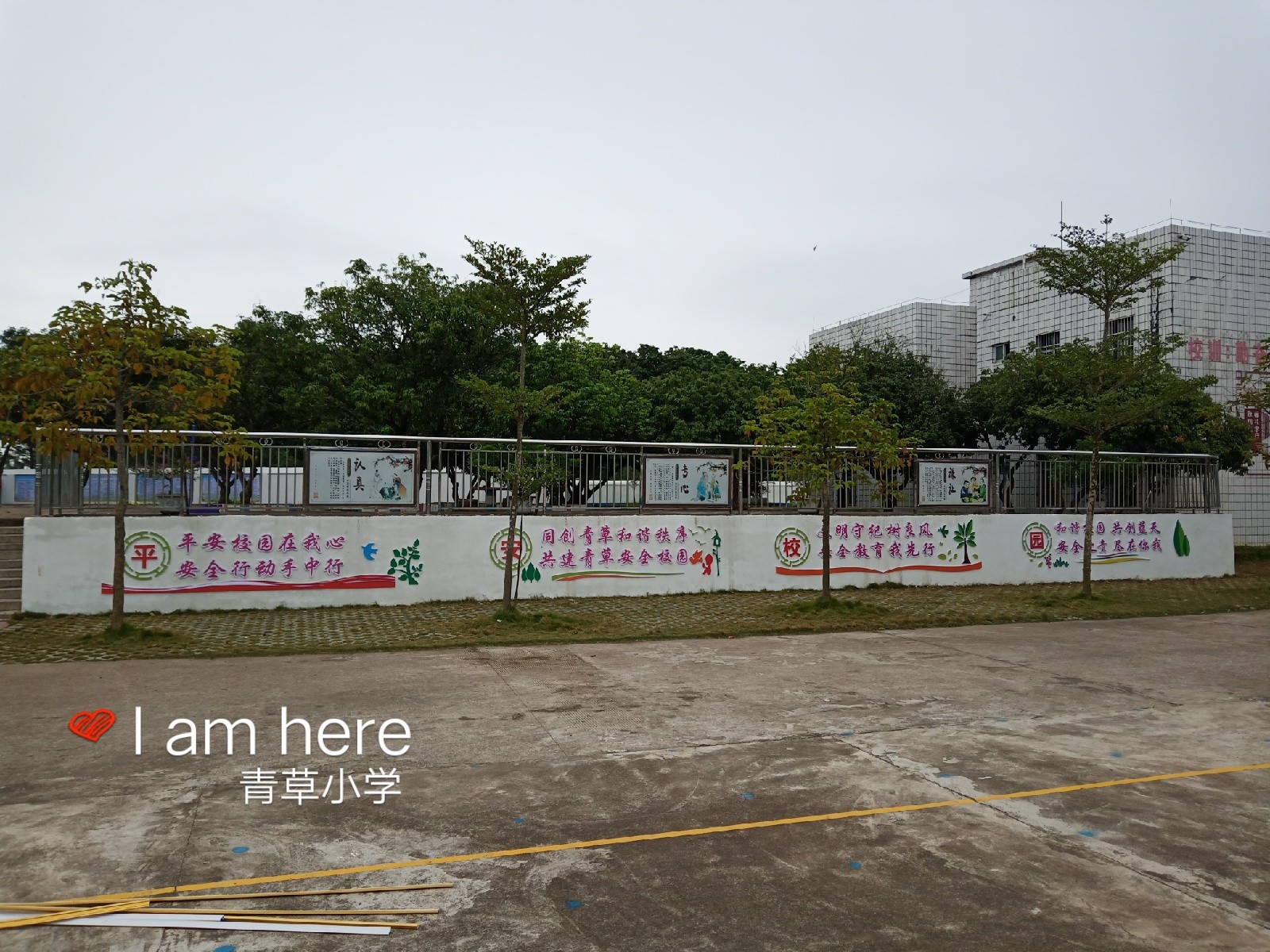 青草小学